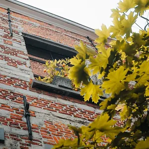 https://apartment-with-own-courtyard-in-historical-centre.hotelsantwerp.net